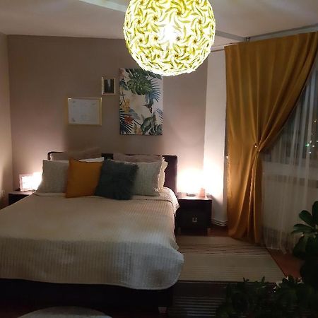 Alba House Apartman Gyulafehérvár Kültér fotó